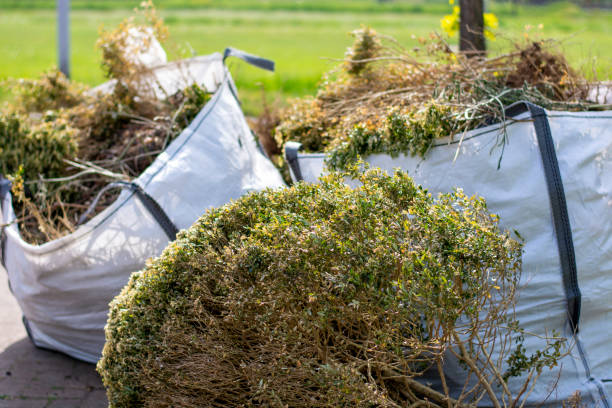Best Moving and Downsizing Cleanouts  in Armada, MI
